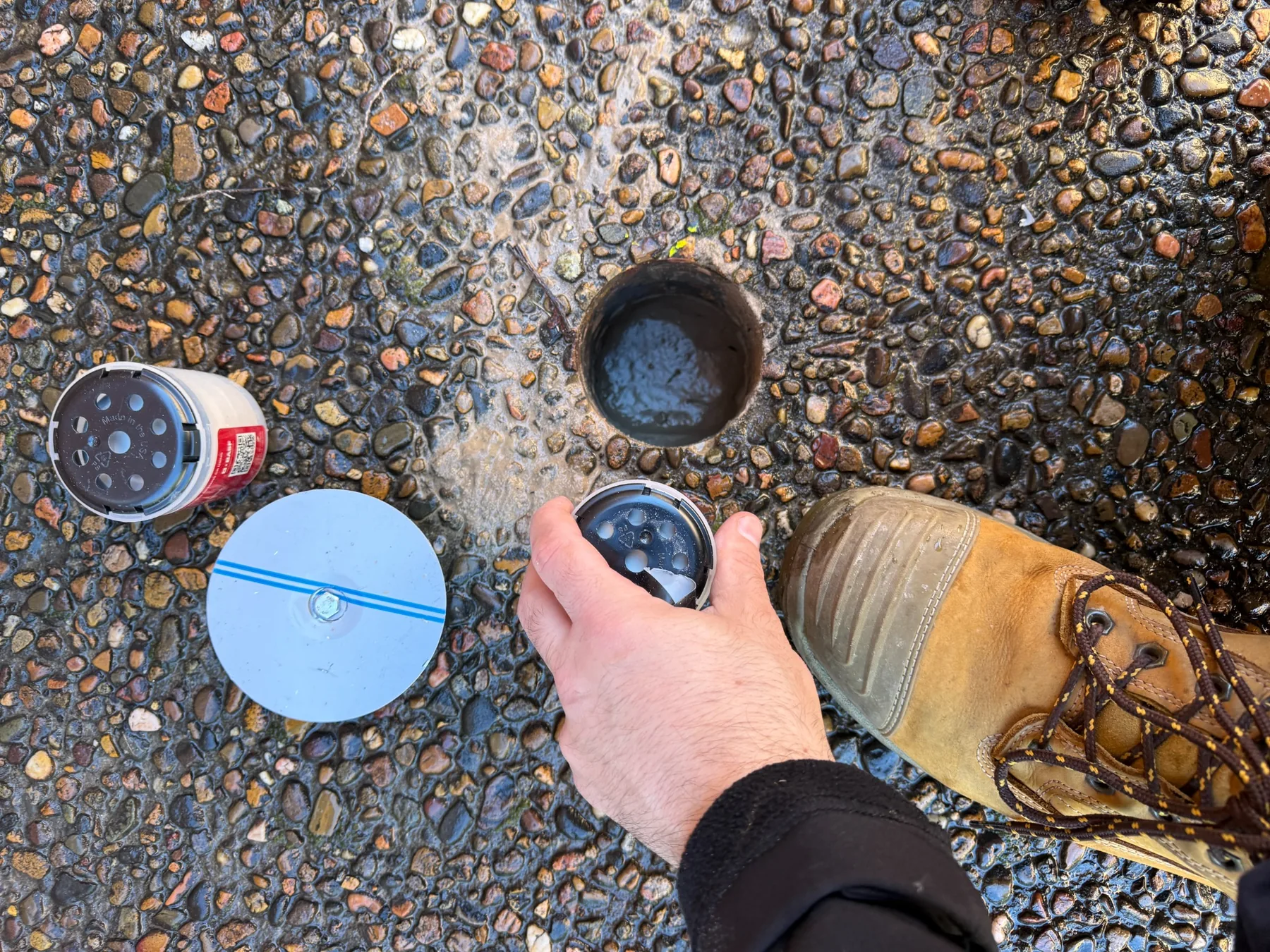 In-ground termite monitoring station at a Sydney property