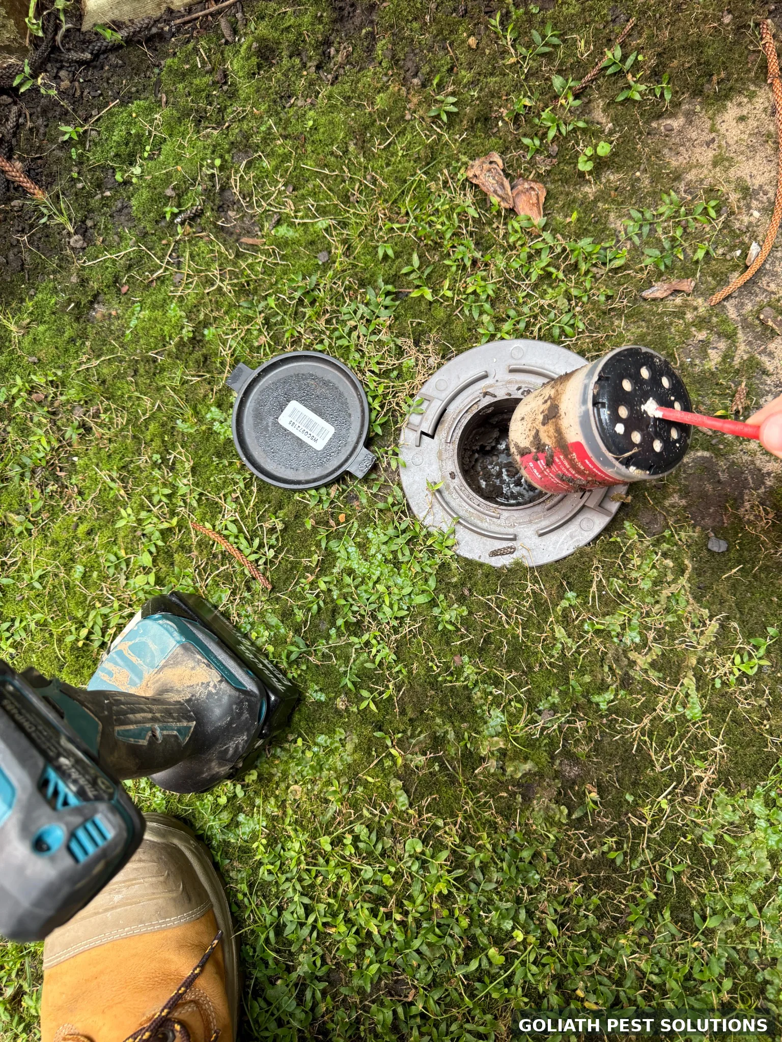 Baiting & Monitoring