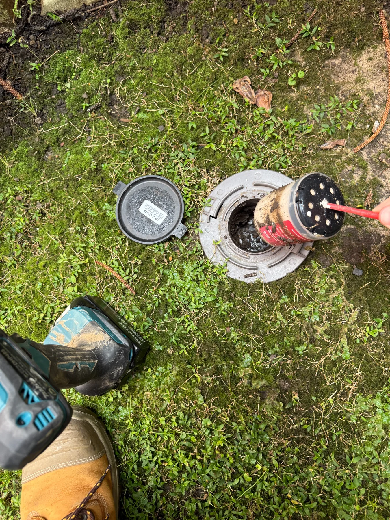 Termite bait station being inspected by Goliath Pest Solutions
