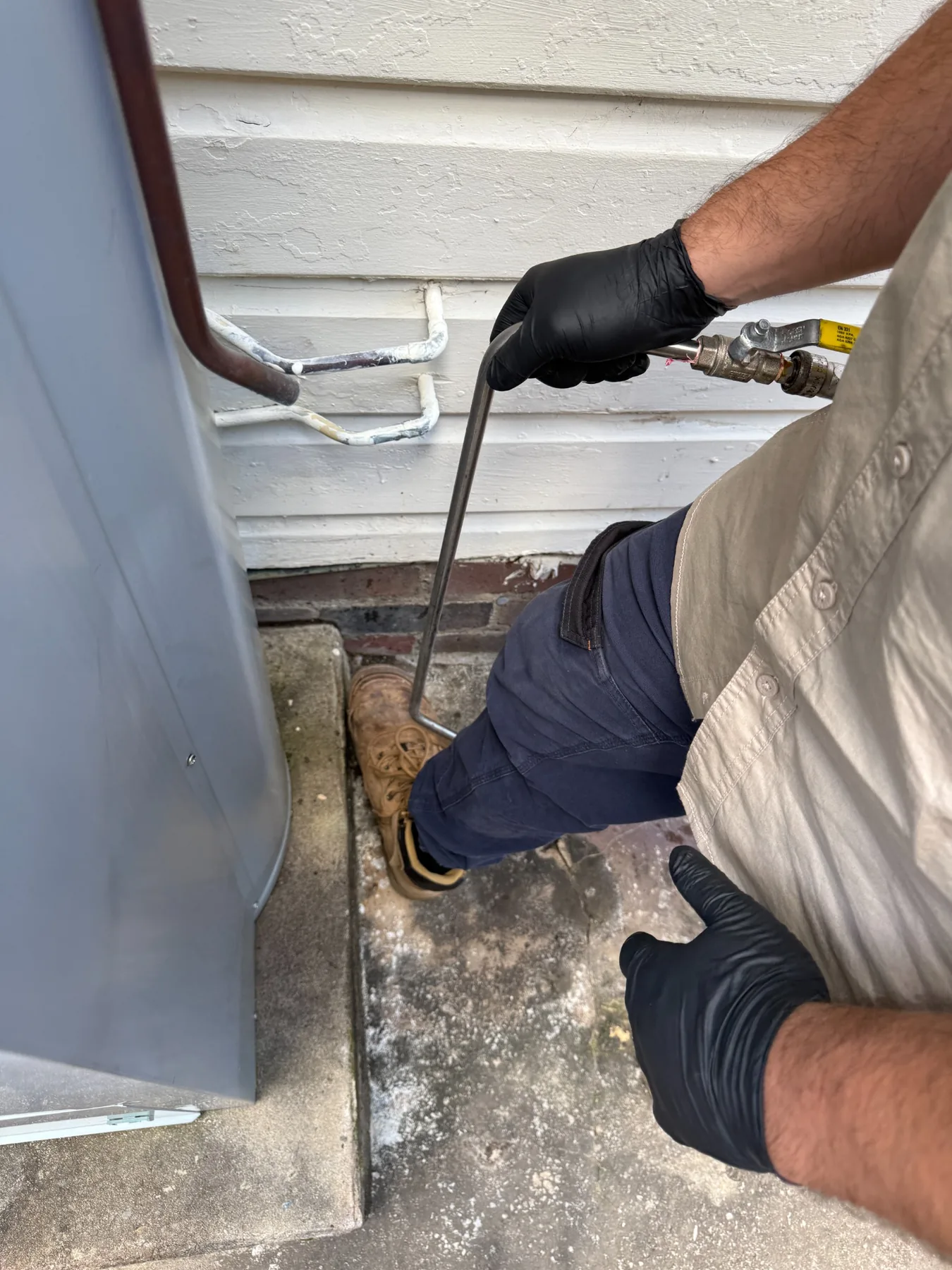 Goliath Pest Solutions termite inspection and treatment work for Chatswood properties