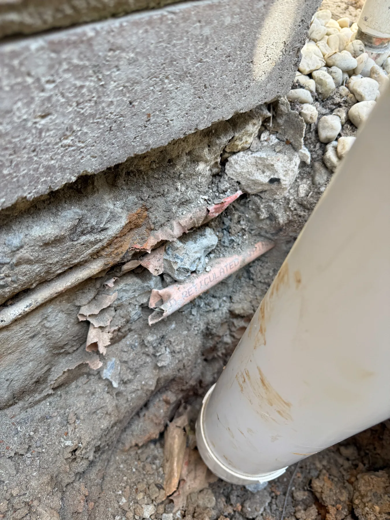 Goliath Pest Solutions termite inspection and treatment work for Cherrybrook properties