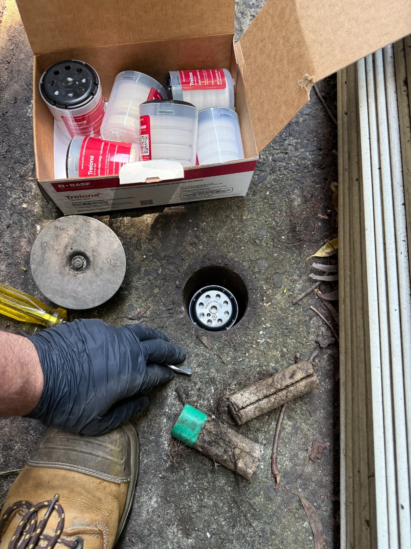 Goliath Pest Solutions servicing a Trelona termite bait station in Sydney